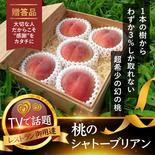 🍑1000個中1個の幻🍑今話題沸騰中の幻のシャトーブリアン桃🍑【お中元ギフト】1本の樹からわずか3%しか取れない超希少な幻の朝採れ桃5個【贈答箱入り】8月下旬発送【旬祭限定】 超希少シャトーブリアン桃5個 果物や野菜などのお取り寄せ宅配食材通販産地直送アウル
