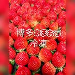 博多あまおう冷凍3キロ(500g×6袋+200g)　家庭用 3キロ 果物や野菜などのお取り寄せ宅配食材通販産地直送アウル