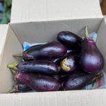 池田様専用　なす2kg 2.0kg 果物や野菜などのお取り寄せ宅配食材通販産地直送アウル