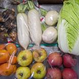 日替わりボックス8.8kg 約8.8kg 果物や野菜などのお取り寄せ宅配食材通販産地直送アウル