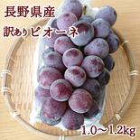 種無しピオーネ1.0～1.2㎏　［訳あり］【信州長野県産】※2025年先行予約※　10月より発送開始 1.0～1.2㎏ 果物や野菜などのお取り寄せ宅配食材通販産地直送アウル