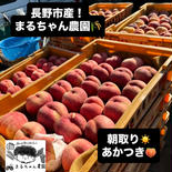 まるちゃん農園🌾の長野市産！朝取りあかつき5㌔！ 13玉程度 果物や野菜などのお取り寄せ宅配食材通販産地直送アウル