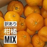 愛媛県産 訳あり柑橘MIX 5kg 5kg(伊予柑約２kg、ぽんかん・愛の香約1kgずつ、甘平・せとか2つずつ) 果物や野菜などのお取り寄せ宅配食材通販産地直送アウル