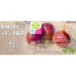 お試しサイズ！【有機JAS】福岡県産いちじく　8〜9月より順次発送の予約商品(約400g前後)　イチジク 【お試し】有機JASイチジク（400g前後） 果物や野菜などのお取り寄せ宅配食材通販産地直送アウル