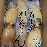 連島れんこん 500〜600g 果物や野菜などのお取り寄せ宅配食材通販産地直送アウル