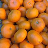 安間農園の三岳みかん🍊【🉐大玉】 10kg×2箱 果物や野菜などのお取り寄せ宅配食材通販産地直送アウル