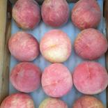 【K様用超訳あり桃】川中島桃　9～12玉　3kg 3kg 果物や野菜などのお取り寄せ宅配食材通販産地直送アウル