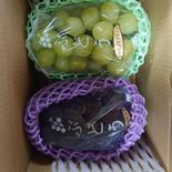 シャインマスカットとピオーネ（400g以上1房ずつ） 800g〜1000g 果物や野菜などのお取り寄せ宅配食材通販産地直送アウル