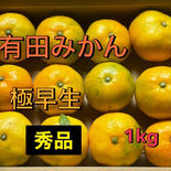 有田みかん　宮川早生　秀品　サイズS  1kg 1kg 果物や野菜などのお取り寄せ宅配食材通販産地直送アウル
