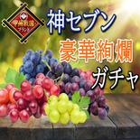 【高級ブランド葡萄】人気トップ７食べ比べガチャ何が届くかお楽しみ☆9月中旬発送【詰め合わせお試し約1kg2種セット】🍇秋ギフト🍇【朝どれぶどう】【家庭用・贈り物】 お試し約1kg2種詰め合わせ 果物や野菜などのお取り寄せ宅配食材通販産地直送アウル