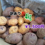 訳あり詰め合わせ4㎏➕ながさき黄金5㎏のセット 9㎏ 約９㎏ 果物や野菜などのお取り寄せ宅配食材通販産地直送アウル