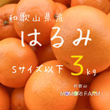 和歌山県産 秀品 はるみ Sサイズ 約3kg 3kg(約25個) 果物や野菜などのお取り寄せ宅配食材通販産地直送アウル