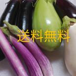 【訳あり】7本　送料無料　ナス多種詰め合わせ😂(キズあり) 1.5㎏ 果物や野菜などのお取り寄せ宅配食材通販産地直送アウル
