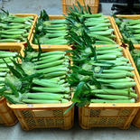 【送料無料】ヤングコーン☆ベビーコーン☆採れたて新鮮☆4kg 4kg 果物や野菜などのお取り寄せ宅配食材通販産地直送アウル
