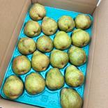 【御礼・ご奉仕品】ラフランス5ｋｇ 18〜16玉入り（２〜３Lサイズ） ５ｋｇ１６〜１８玉入り 果物や野菜などのお取り寄せ宅配食材通販産地直送アウル