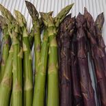 北海道蘭越アスパラガスグリーンパープルセット グリーンパープルL-2L各500g 果物や野菜などのお取り寄せ宅配食材通販産地直送アウル