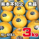 不知火　秀品　約3キロ　デコポン　10玉から12玉入 約3キロ 果物や野菜などのお取り寄せ宅配食材通販産地直送アウル
