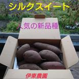 伊東農園のシルクスイート(7kg) 7kg 果物や野菜などのお取り寄せ宅配食材通販産地直送アウル