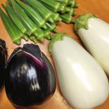 香川の伝統野菜『三豊なす』入り！とろける茄子＆オクラのセット 緑角オクラ400g とろーり旨なす1個　三豊なす1個 果物や野菜などのお取り寄せ宅配食材通販産地直送アウル