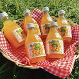 【30%off】まーくん家のはっさくジュース 180ml 5本 180ml 5本 果物や野菜などのお取り寄せ宅配食材通販産地直送アウル