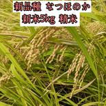 【R6新米🌾アウルの日】長崎産 新品種 なつほのか 5kg 精米 精米5kg 果物や野菜などのお取り寄せ宅配食材通販産地直送アウル