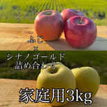 さわやかコンビ詰め合わせ　ふじ×シナノゴールド　家庭用3kg 3kg りんご約9個前後 果物や野菜などのお取り寄せ宅配食材通販産地直送アウル