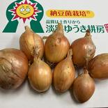 送料込み　淡路島玉ねぎ　訳アリ品8kg　納豆菌栽培　（北海道・沖縄地区・離島以外） 8kg 果物や野菜などのお取り寄せ宅配食材通販産地直送アウル