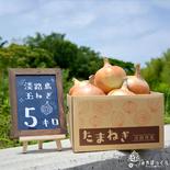 淡路島産たまねぎといえばコレ『中生たまねぎターザン』5kg 5kg(箱込み)L,２Lサイズ混合 果物や野菜などのお取り寄せ宅配食材通販産地直送アウル
