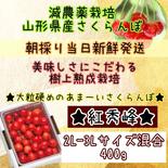 ★朝採り当日発送★美味しさにこだわる★樹上熟成完熟栽培★《紅秀峰》 紅秀峰2L-3L混合400g 果物や野菜などのお取り寄せ宅配食材通販産地直送アウル