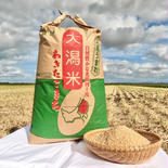 【玄米30㎏】新米あきたこまち特別栽培米 玄米30㎏ 果物や野菜などのお取り寄せ宅配食材通販産地直送アウル