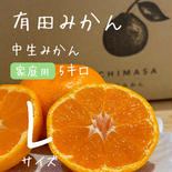 【完熟中生みかん】有田みかん★家庭用5キロ 5キロLサイズ 果物や野菜などのお取り寄せ宅配食材通販産地直送アウル