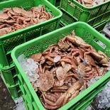 【噴火湾毛蟹籠漁  解禁】  朝水揚げ毛ガニ(中サイズ) 毛蟹(中サイズ)400ｇ前後  3杯入り 果物や野菜などのお取り寄せ宅配食材通販産地直送アウル