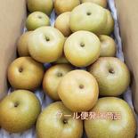 【クール便発送商品】8月収穫梨！訳ありご家庭用梨！サイズいろいろはいります！4ｋｇ！ 4 果物や野菜などのお取り寄せ宅配食材通販産地直送アウル