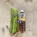 旬の食材　ワラビ1kg  おまけ付き 1kg 果物や野菜などのお取り寄せ宅配食材通販産地直送アウル
