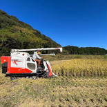 熊本県産 令和4年度 ヒノヒカリ 5kg 白米5キロ 果物や野菜などのお取り寄せ宅配食材通販産地直送アウル