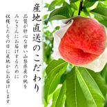農園から届く特選山梨の桃 ギフト（5〜8玉） 特選桃　5〜8玉前後 果物や野菜などのお取り寄せ宅配食材通販産地直送アウル