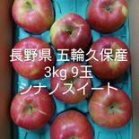 長野県 五輪久保産 シナノスイート 3kg9玉 3kg 果物や野菜などのお取り寄せ宅配食材通販産地直送アウル