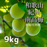 【家庭用】南高梅 大粒 9kg    青梅/完熟梅 9kg 果物や野菜などのお取り寄せ宅配食材通販産地直送アウル