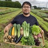 【今だけお得！】今が旬のこだわり野菜セット 12～15品目 果物や野菜などのお取り寄せ宅配食材通販産地直送アウル