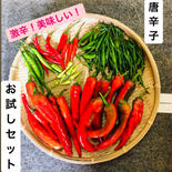 ワカイファーミーの唐辛子詰め合わせセット🌶💕 4袋 果物や野菜などのお取り寄せ宅配食材通販産地直送アウル