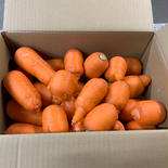 やまもと農園の人参🥕5kg 5kg 果物や野菜などのお取り寄せ宅配食材通販産地直送アウル