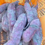 数量限定　規格外品　紅あずま　10kg  10kg  果物や野菜などのお取り寄せ宅配食材通販産地直送アウル