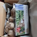 令和５年 北海道上富良町産にんにく 2Lサイズ 1kg 1Kg 果物や野菜などのお取り寄せ宅配食材通販産地直送アウル