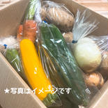 お野菜詰め合わせセット 80サイズ【野菜5~7品目】 果物や野菜などのお取り寄せ宅配食材通販産地直送アウル