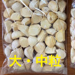 （ばら大中800g）こだわり強めな乾燥にんにく 大中粒800g 果物や野菜などのお取り寄せ宅配食材通販産地直送アウル