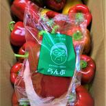【Lサイズ 180g以上】【黄色・赤色/各3個】【計6個入】 約1キロ 果物や野菜などのお取り寄せ宅配食材通販産地直送アウル