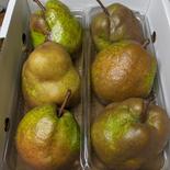 ラ・フランスB級品2kg 2kg 果物や野菜などのお取り寄せ宅配食材通販産地直送アウル
