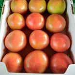 ユメソラ野菜セット　トマト＆タマネギ＋箱込み４キロ 箱込み４キロ 果物や野菜などのお取り寄せ宅配食材通販産地直送アウル