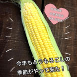 北海道産直送/とうもろこしイエロー6本 6本入 果物や野菜などのお取り寄せ宅配食材通販産地直送アウル