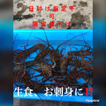 9月予約　訳あり活伊勢海老　大3キロ分（6〜8匹） 大3キロ分（6〜8匹） 果物や野菜などのお取り寄せ宅配食材通販産地直送アウル